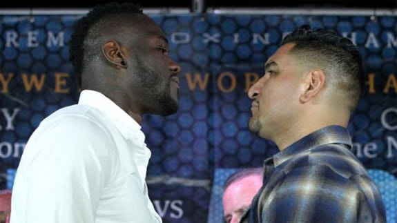 wilder_arreola_fo.jpg