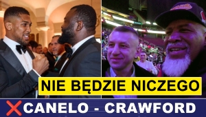 ADAMEK - BRIGGS, JOSHUA - BAKOLE, CANELO - CRAWFORD: NIE BĘDZIE NICZEGO?!